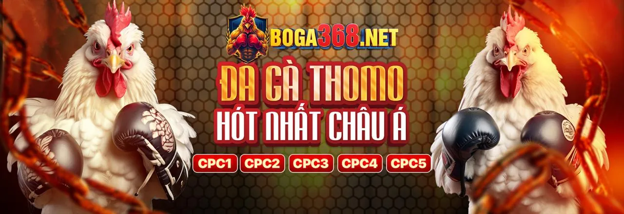 Cách CLB88 Link Mới sử dụng cookie để cải thiện trải nghiệm cá cược