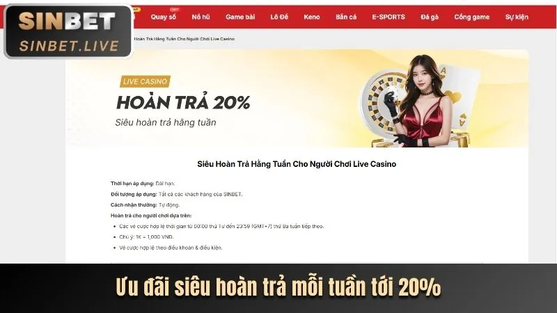 Biểu đồ lịch sử giao dịch chi tiết